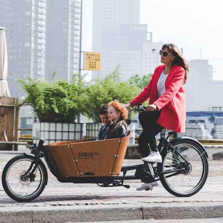 Vélo cargo biporteur (5)