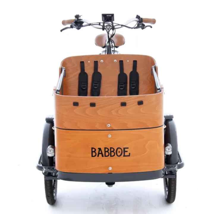 Vélo cargo triporteur (2)